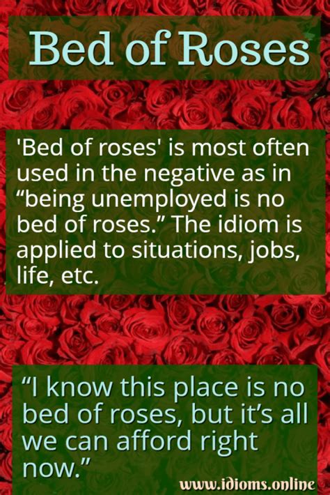 Bed Of Roses | Idioms Online