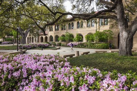 Lsus Quad Has Great Landscaping Including These Beautiful Azaleas