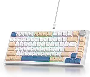 SOLIDEE Mechanical Keyboard Wired 75 Percent Hot Swappable Keyboard