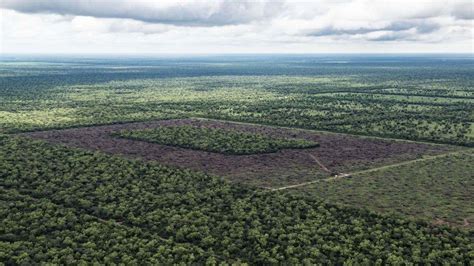 Lanzan una convocatoria para financiar proyectos de conservación de