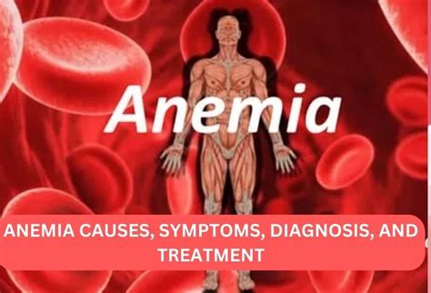 Understanding The Knowledge Of Anemia Healthy Life With Dr Shaista