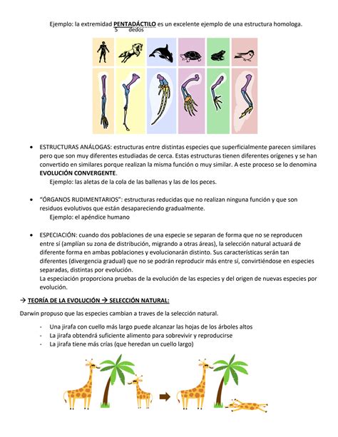 SOLUTION Ib Unidad 5 Evolucio N Y Biodiversidad Studypool