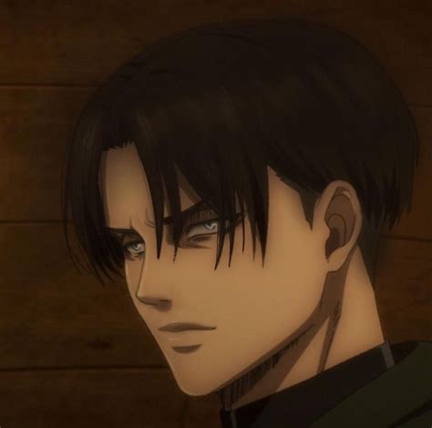 That Smirk 😩 I Love It Levi Ackerman Attack On Titan Levi Anime