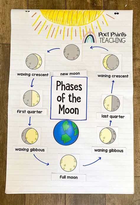 Phases Of The Moon Anchor Chart