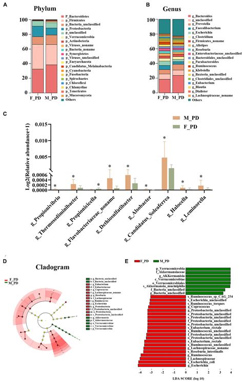 Frontiers Exploring The Alteration Of Gut Microbiota And Brain