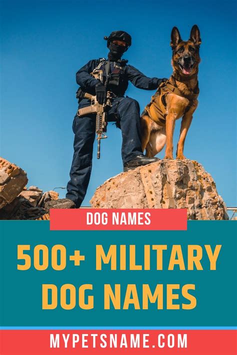 Military Dog Names | Military dogs, Dog names, Army dogs