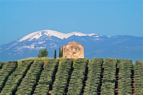 In Viaggio La Piana Di Sibari E I Sapori Del Pollino Gambero Rosso