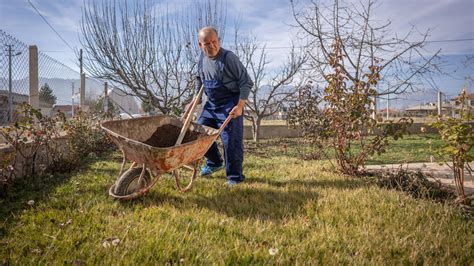 Laying Grass Seed After The First Frost Myth Or Fact