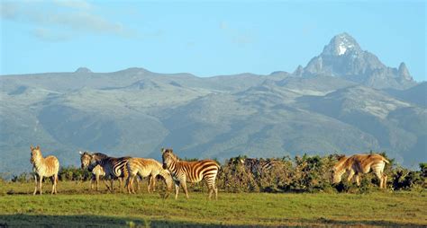 Best Time To Visit Mount Kenya National Park Kenya Wildlife Tours