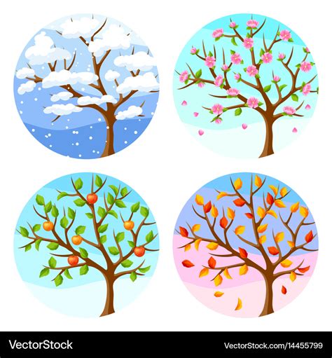 Four seasons tree and landscape Royalty Free Vector Image