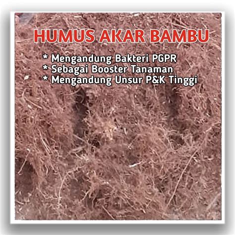 Jual Humus Akar Bambu 500gr Media Tanam Terbaik Untuk Booster