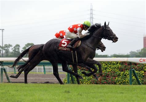 混戦の菊花賞を制する馬は？ スポーツナビ