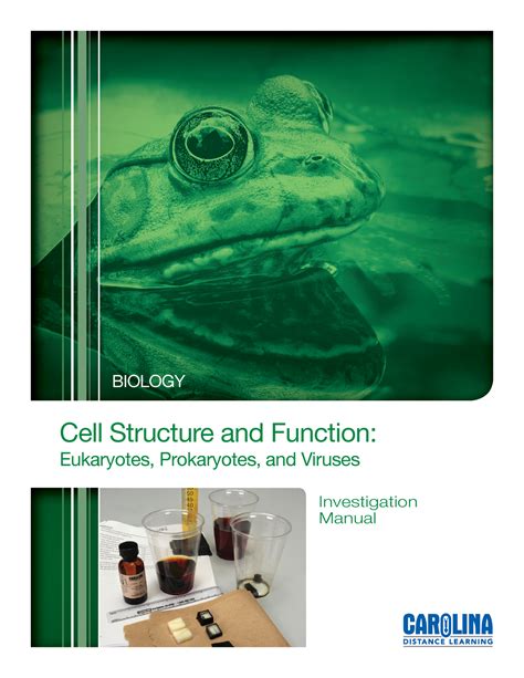 BIO 111 Cell Structure And Function Lab Cell Structure And Function