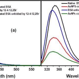 a Steady state fluorescence spectra of 10 μM of a pure BSA and