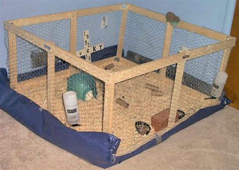 15 Diy Guinea Pig Cage Plans You Can Build Today With