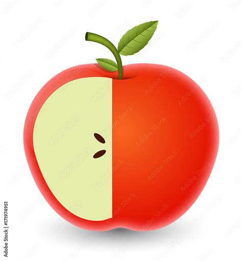 Free Clip Cut Apples Download Free Clip Cut Apples Png Images Free