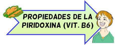 Alimentos Ricos En Vitamina B O Piridoxina Botanical Online