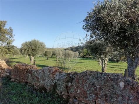 Terreno à venda na estrada sem nome Ourique idealista