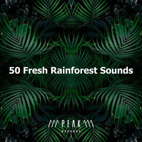 50 Fresh Rainforest Sounds Album By Rainforest Sounds Spotify