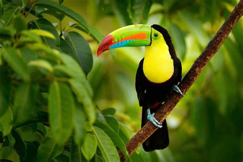 20 Amazing Costa Rica Landmarks To See In 2024