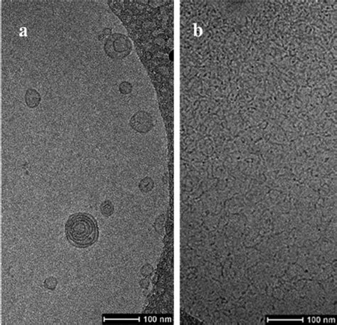 Cryo-TEM images show that the shape and size of molecular... | Download Scientific Diagram