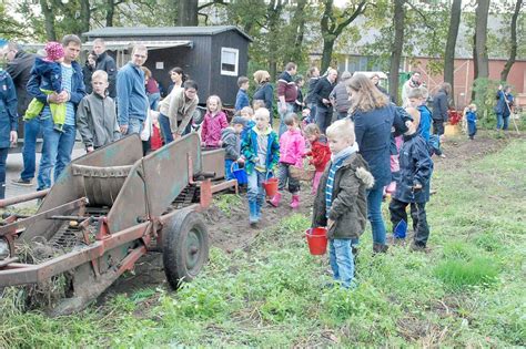 Kinder Ernten Ihre Eigenen Kartoffeln General Anzeiger