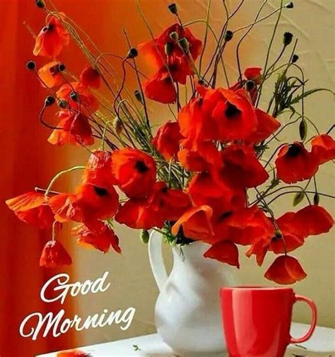 Good Morning Red Flower Images Best Flower Site