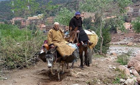 Trek Famille Sentiers Berberes Du Haut Atlas Proche De Marrakech