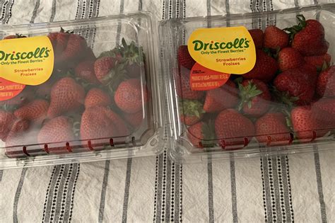 Strawberries Delivered Tomorrow at Elaine Osborn blog