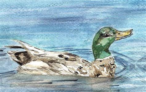 Mallard Ducks Watercolor Print Wildfowl Painting Duckling Etsy De