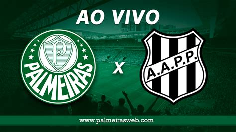 Palmeiras X Ponte Preta Onde Assistir O Jogo Ao Vivo