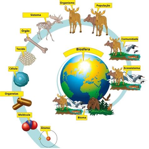 Biosfera Biologia Net