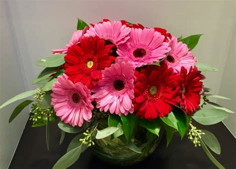 Gerbera Gathering In Boston Ma Louis Barry Florist