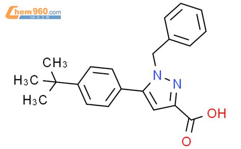 852815 93 11h Pyrazole 3 Carboxylic Acid5 4 11 Dimethylethyl