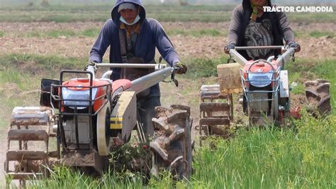 Tractor Ploughing At Paddy Rice Field Tractor At Work Technology