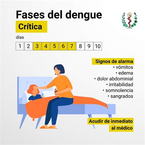 Salva Vidas Identificar Fases Y Signos De Alarma Del Dengue Infografias