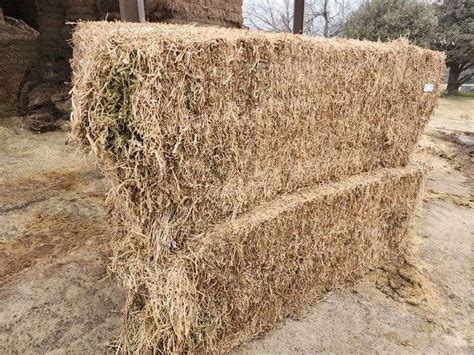 Alfalfa X Large Square Bales Great Plains Auction