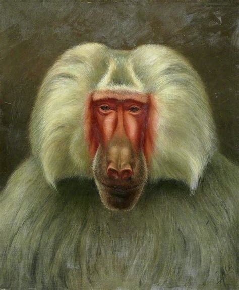 Baboon Painting By Motionage Designs Pixels