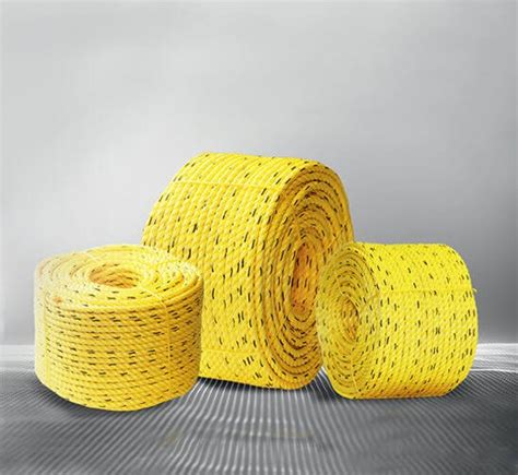 Yellow PP Danline Rope 10 Mm Size Diameter 25 Mm At Rs 150 Kg In Jaipur