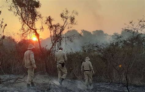 Focos De Inc Ndio Voltam A Atingir O Pantanal Blog Do Valente