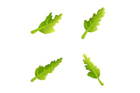 Arugula Icons Set Cartoon Vector Fresh Green Arugula Leaf