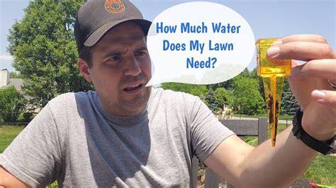 How To Keep Your Lawn Green All Season Long Lawn Watering Guide Lawn