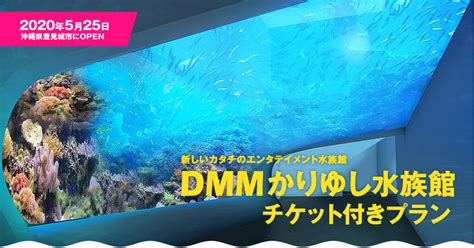 Dmmかりゆし水族館チケット付プラン 沖縄旅行の楽たび 公式サイト