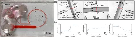 Curvilinear Microchannel For Dean Velocity Investigation Of Sio