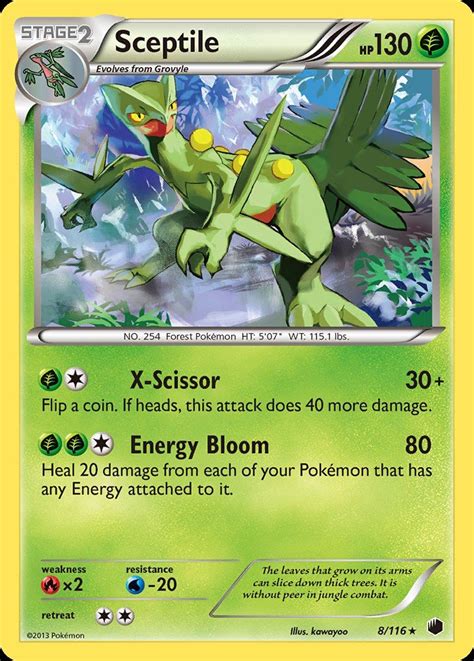 Sceptile Plf 8 Pokemon Tcg Pok Cards