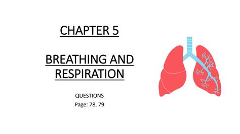 Solution Chapter 5 Breathing And Respiration Qa Studypool