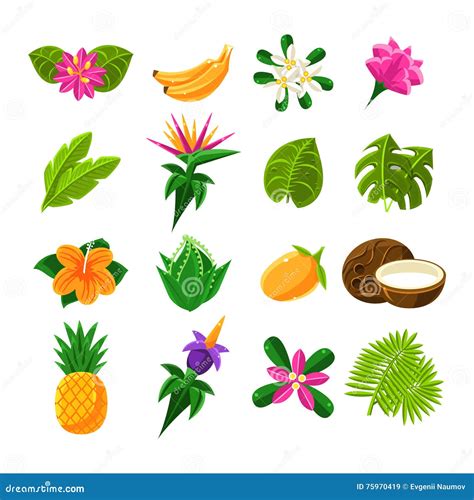 Tropical Exotic Fruits And Flora Set Of Icons Stock Vector