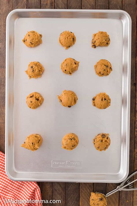 Pumpkin Chocolate Chip Cookies Recipe Midgetmomma