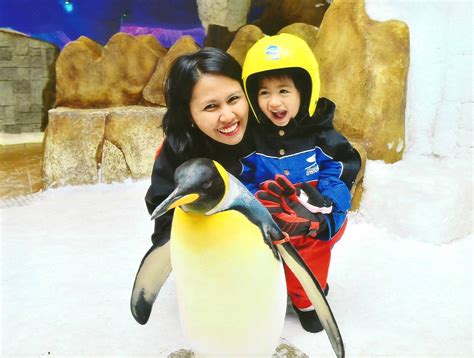 Snow Penguins Encounter at Ski Dubai | Cuddles and Crumbs