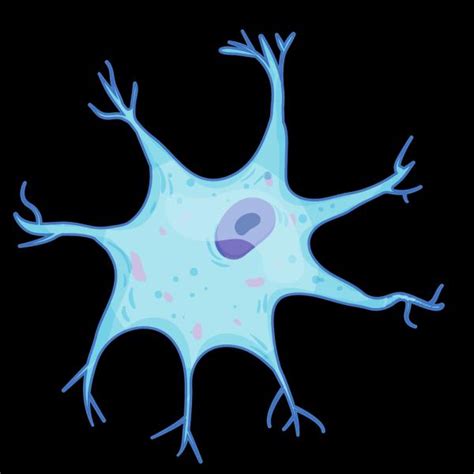 Print Crossword Puzzle GCSE Nervous System Biology Biology Nerves